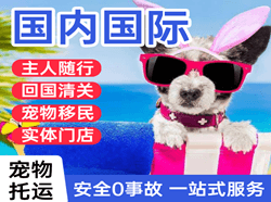 河东机场空运国际宠物托运 【国